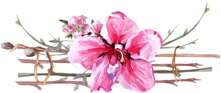 Planting Flowers Cartoon Transparent (1024x423), Png Download