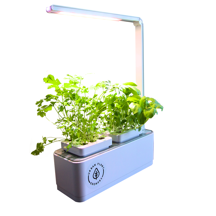 Smart Garden Basil And Coriander Seeds One Year Nutrient (850x850), Png Download