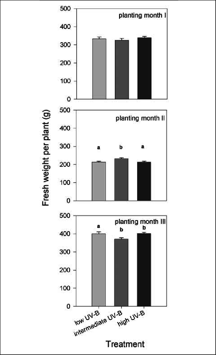 Fresh Weight Of Plants Of Different Uv-b Treatment (693x1137), Png Download