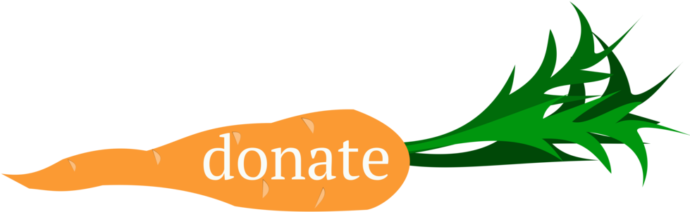 Carrot Clipart Donate (1000x323), Png Download