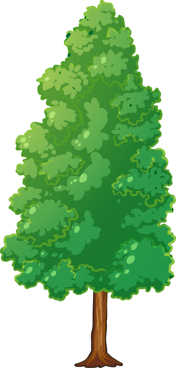 Tree (600x1252), Png Download