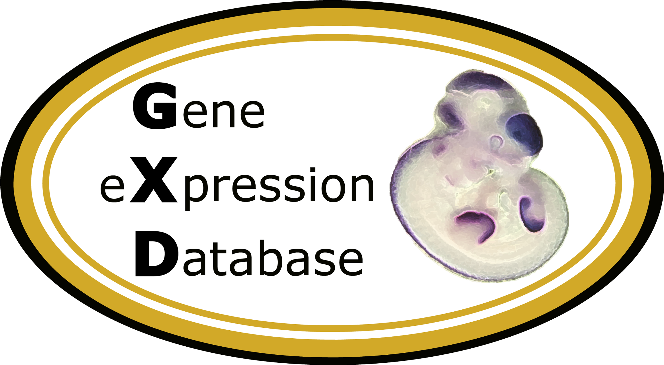 Genes Png (2389x1312), Png Download