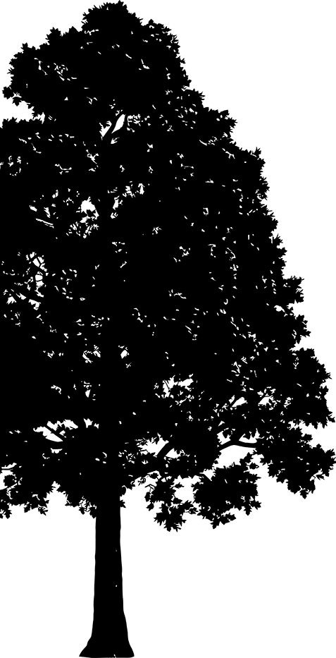 Gesetzliche Anbieterkennung - (477x933), Png Download