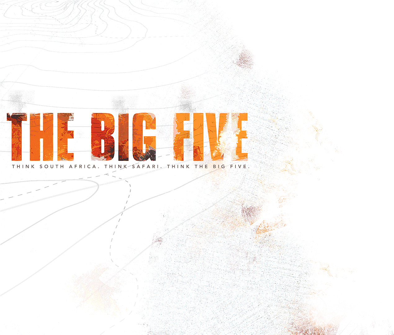 Rhinoceros Clipart Big 5 (1920x1080), Png Download
