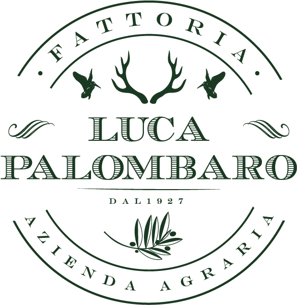 Logo Logo Logo Logo Logo (600x617), Png Download