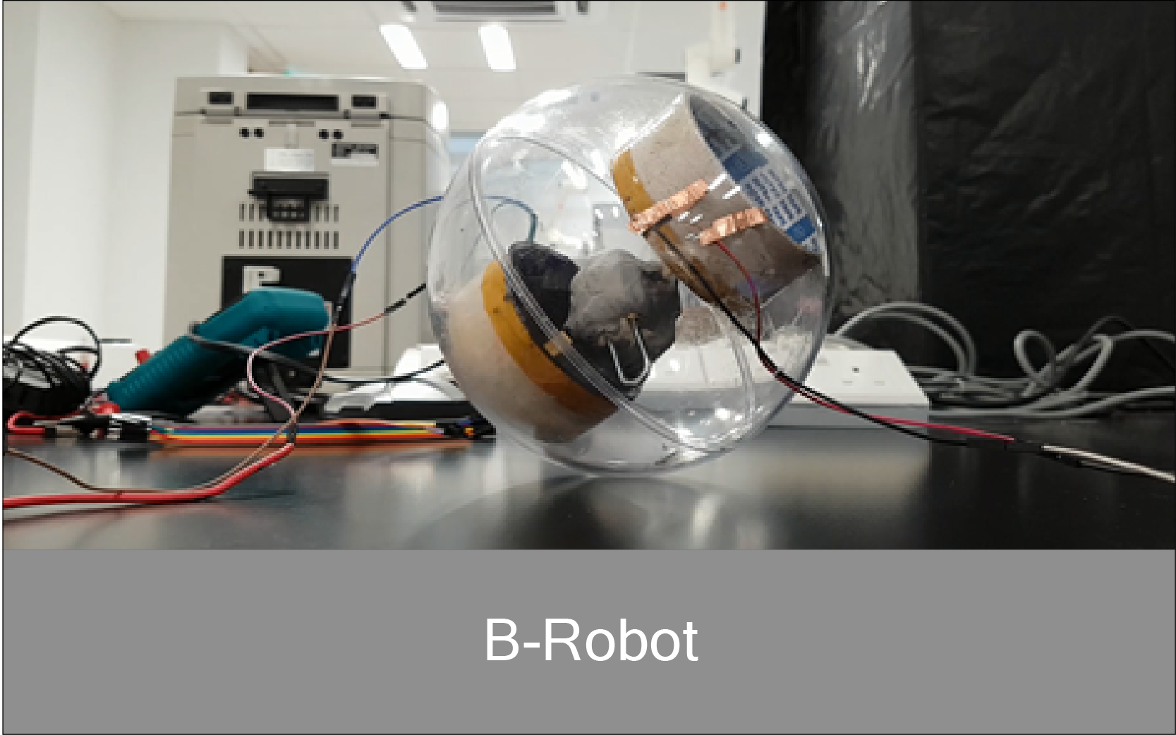 Robot.png (1667x1042), Png Download