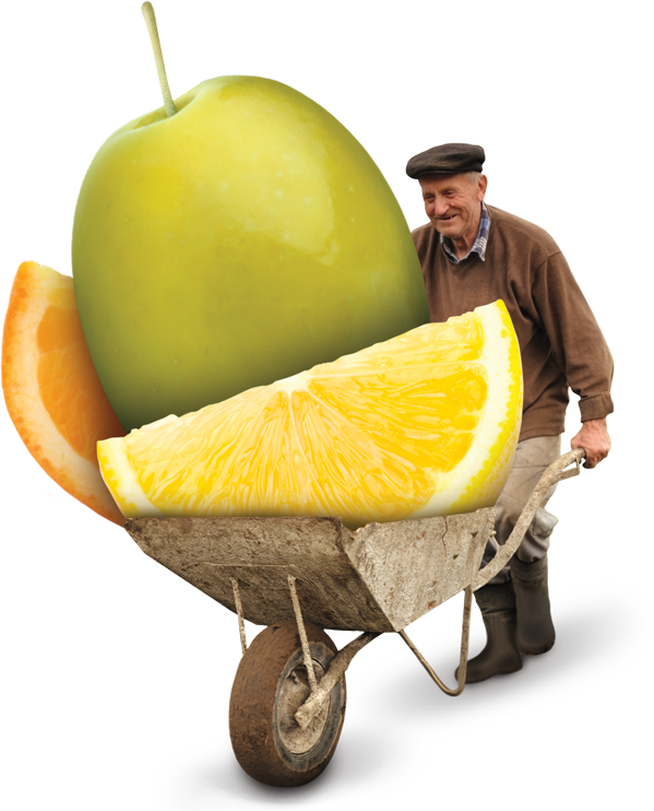 Love Discovering Fabulous New Flavors (599x742), Png Download