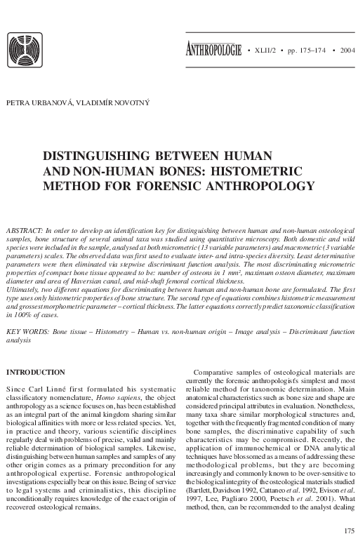 Pdf (595x842), Png Download