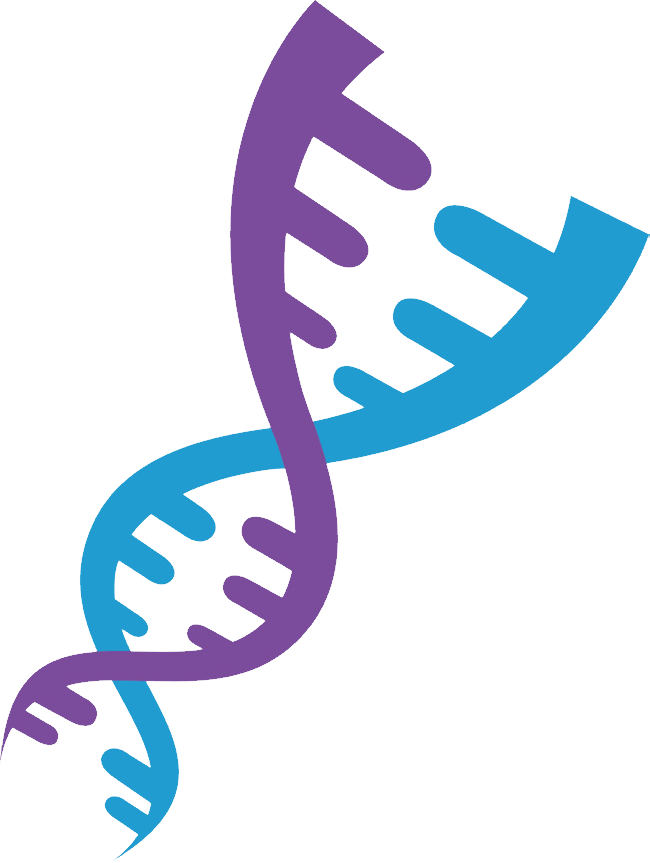 Dna.png (650x863), Png Download
