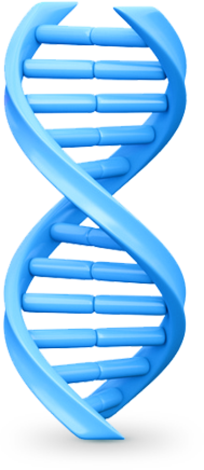 Dna Png, Download Png Image With Transparent Background, (400x922), Png Download