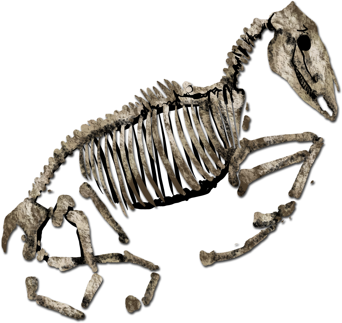 Improved Levels Graphics For Age Of Fear (1550x1550), Png Download