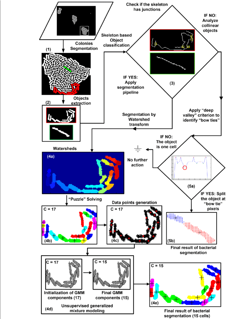 Skeleton Based Object Classification (850x1034), Png Download