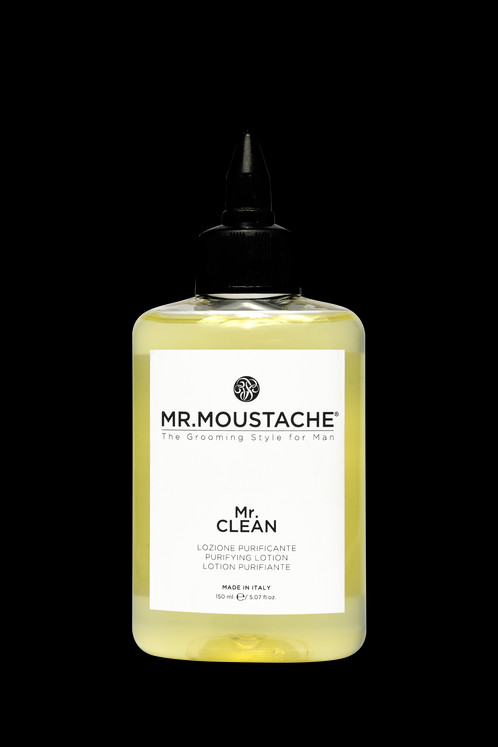 Mr Clean Png (498x747), Png Download