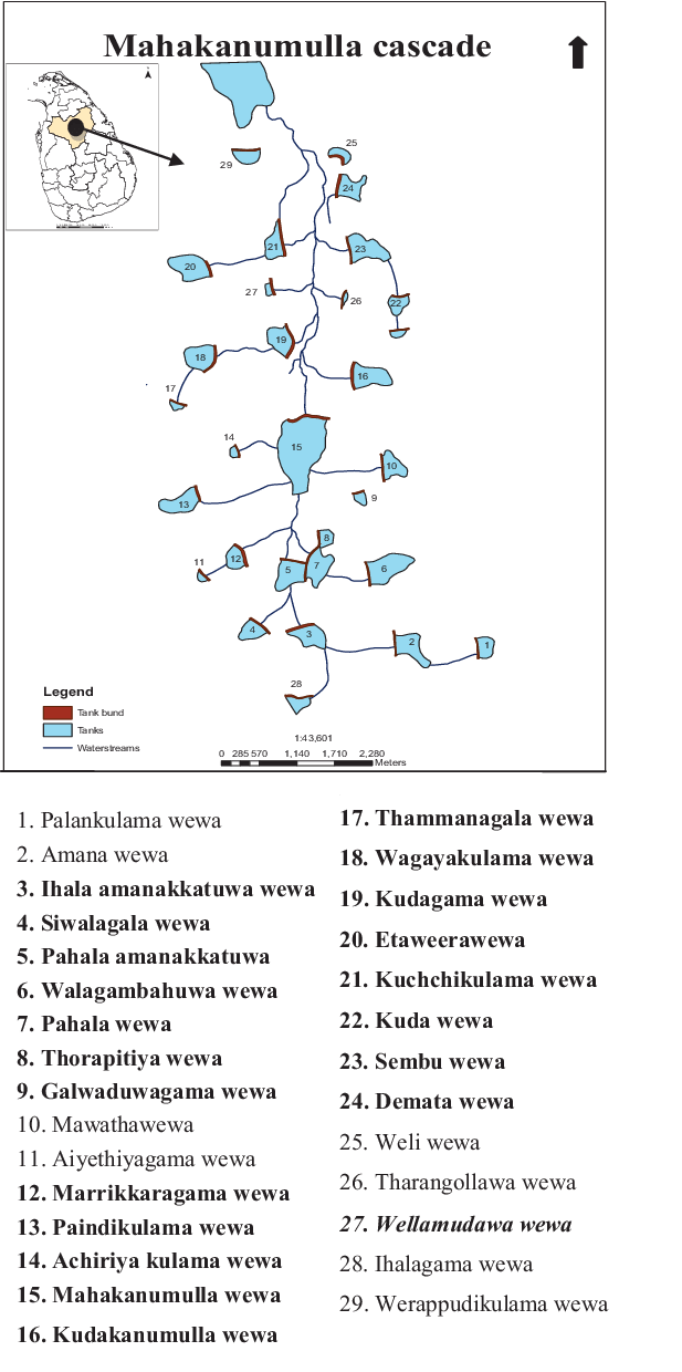 Map Of Mahakanumulla Cascade (617x1240), Png Download