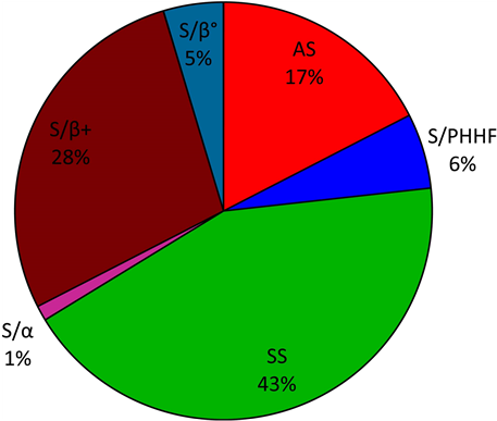 Distribution Of Sickle Cell Phenotypes In Patients (903x386), Png Download