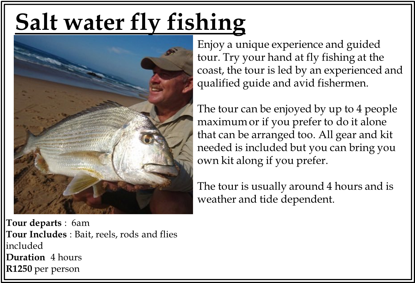 Fly Fish - (1447x987), Png Download