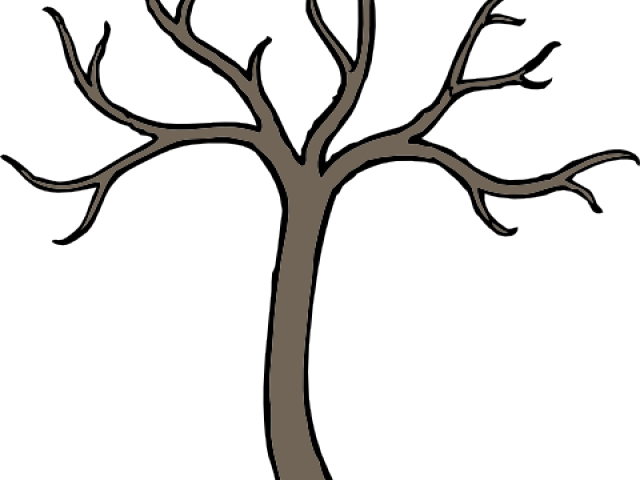 Roots Clipart Root Word (640x480), Png Download