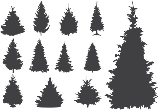 Sapin Silhouettes Vector (700x490), Png Download