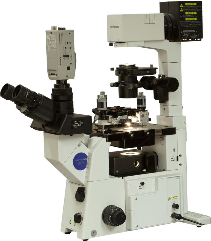 Certus Optic Atomic Force Microscope (702x800), Png Download