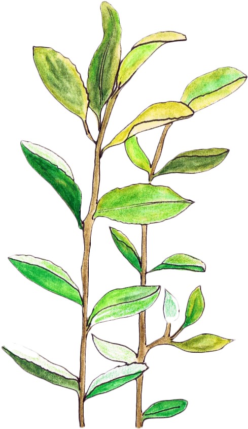 Transparent/sticker Blg Soft Grunge Blg (1280x978), Png Download