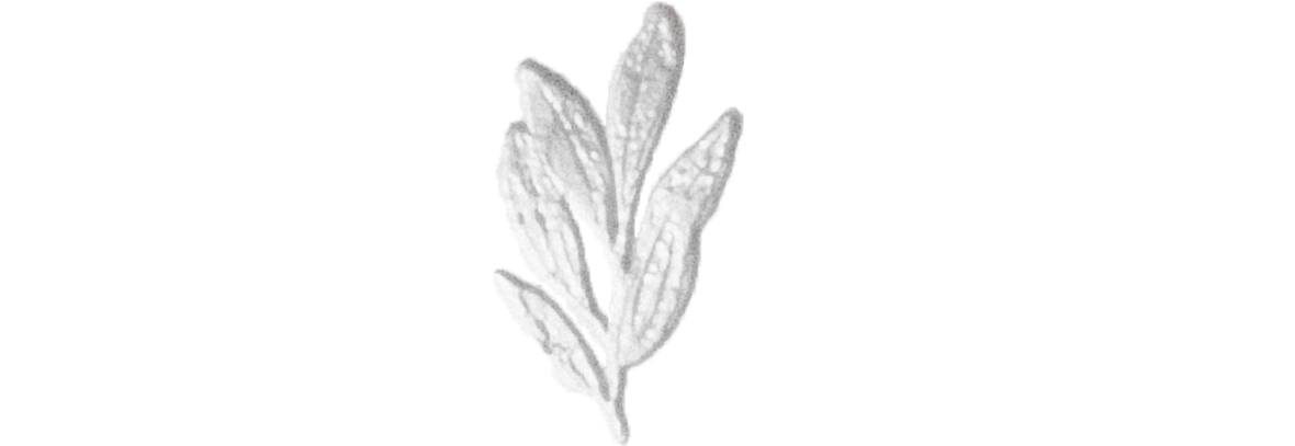 Hans And Roxes (1207x430), Png Download