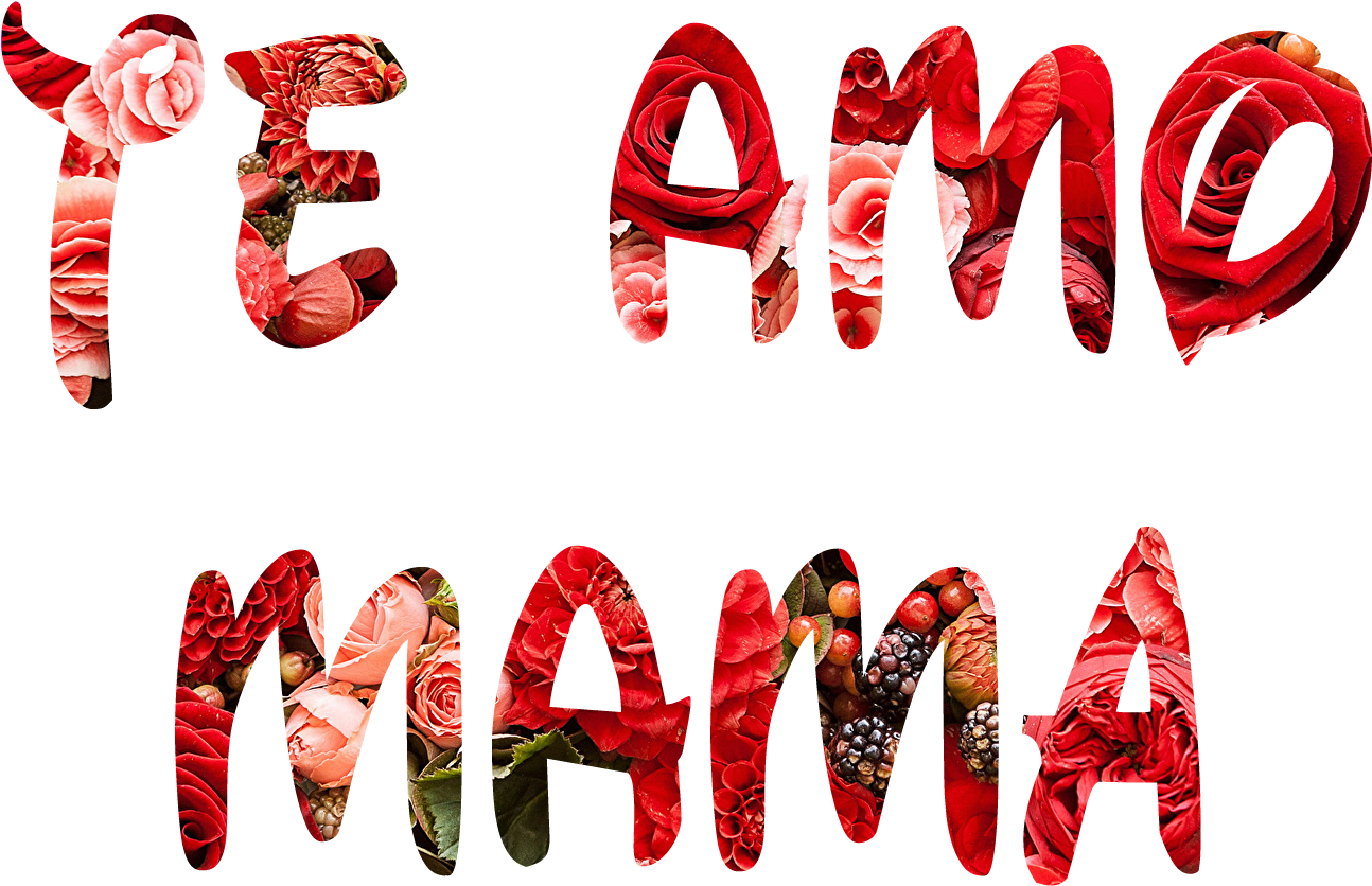 Se Puede Aumentar El Tamaño De La Letra O Reducirla (1365x1024), Png Download