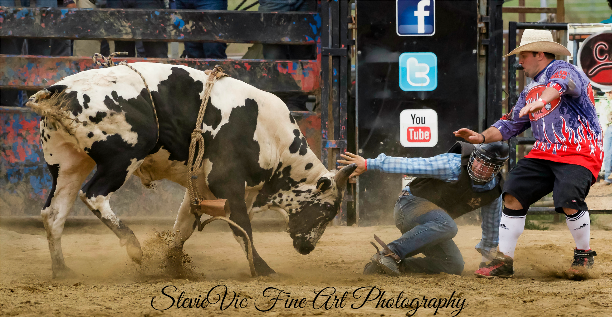 Bucking Bulls, Bull Riding, Ranch, Ohio, Guest Ranch, (2000x2000), Png Download