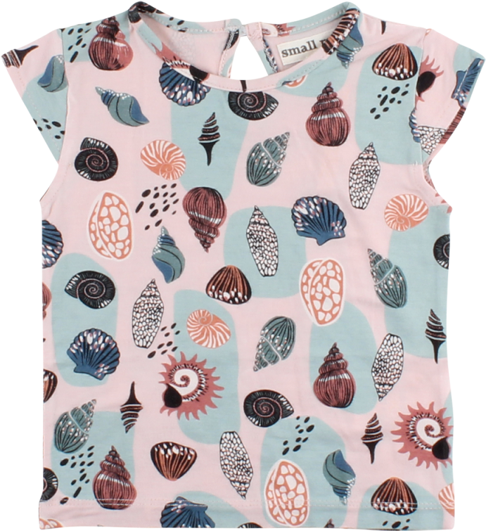 60636 20 73 A 62 104 Preview - Shell (800x900), Png Download