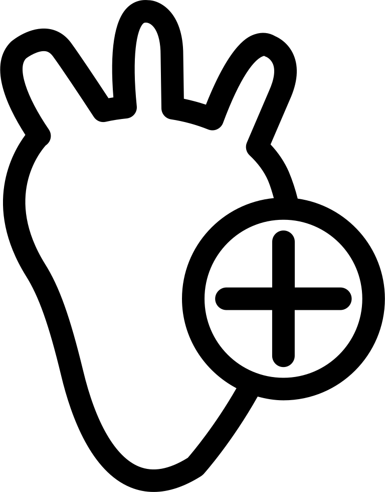 Heart Outline With A Plus Sign Comments - Icon (768x980), Png Download