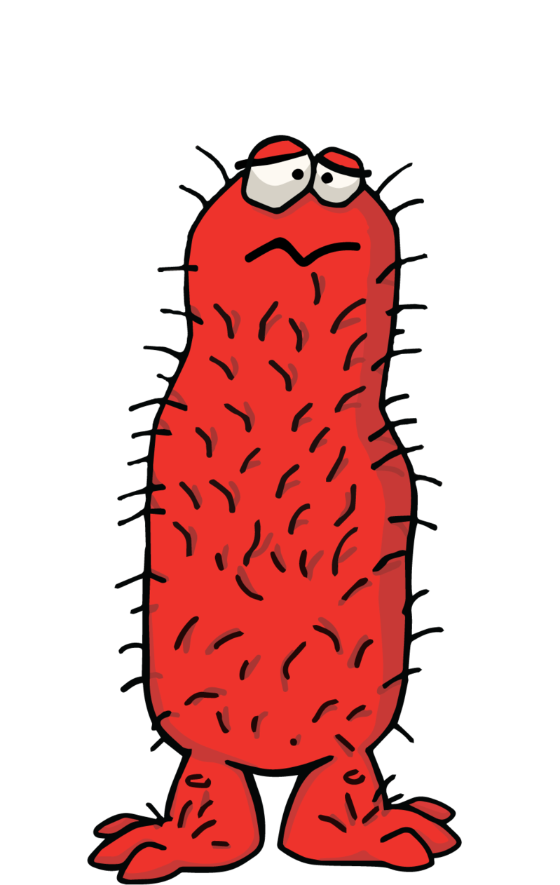Hairy Confusedred - Illustration (1000x1294), Png Download