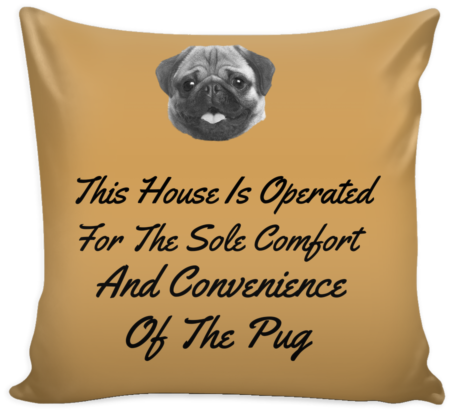 Cushion (1024x1024), Png Download