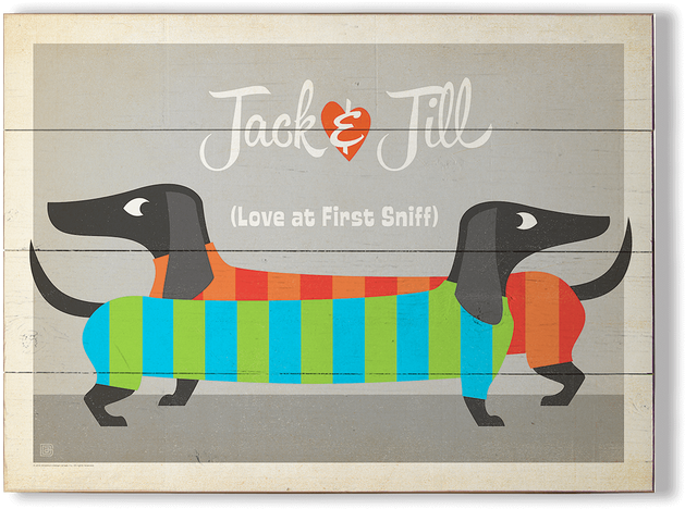 Wood Duck (730x730), Png Download