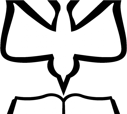 Download Drawn Dove Holy Spirit - Confirmation Symbol PNG Image with No ...