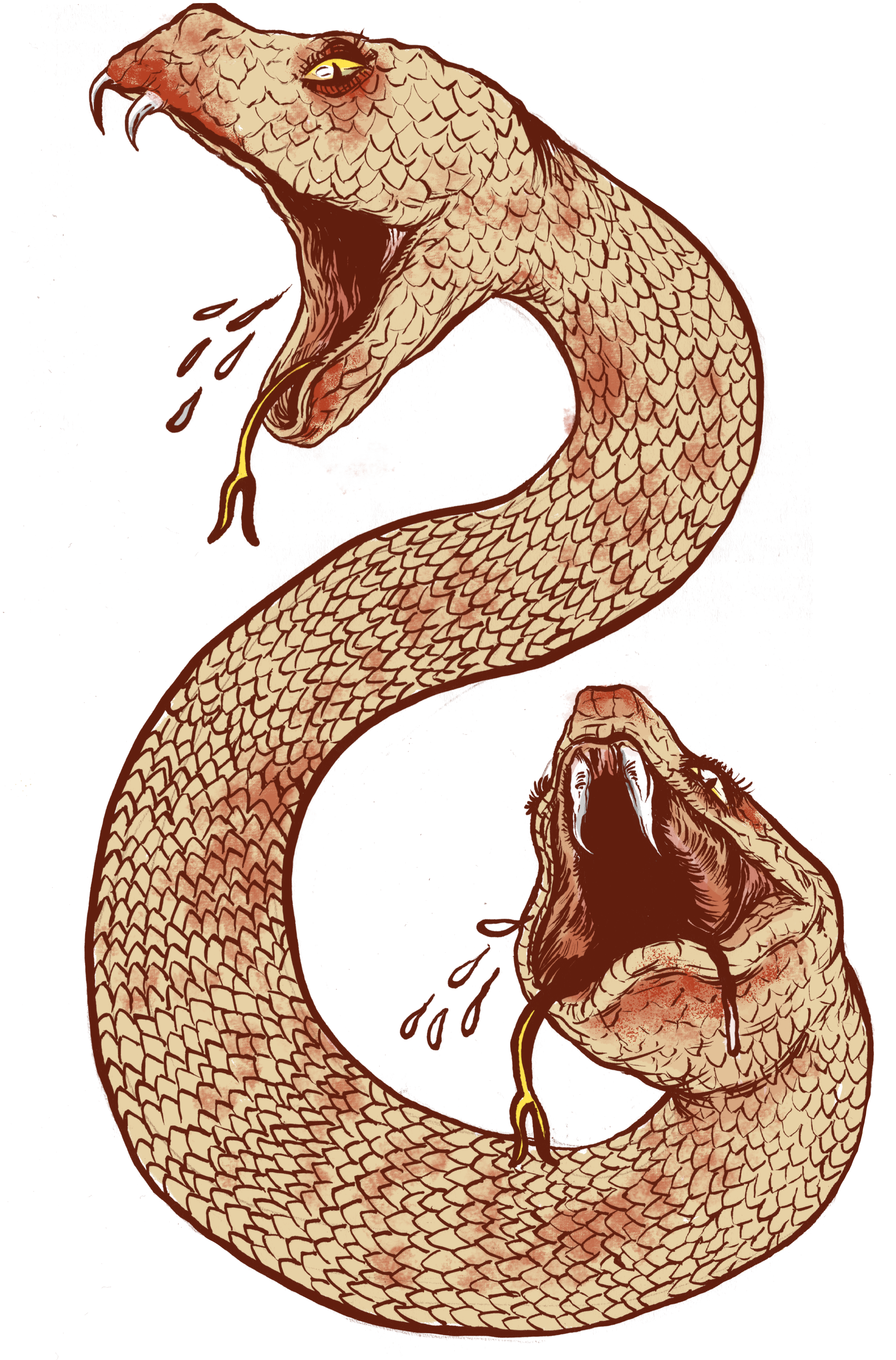 Snake Tattoo Clipart Ancient - Amphisbaena (3566x5410), Png Download