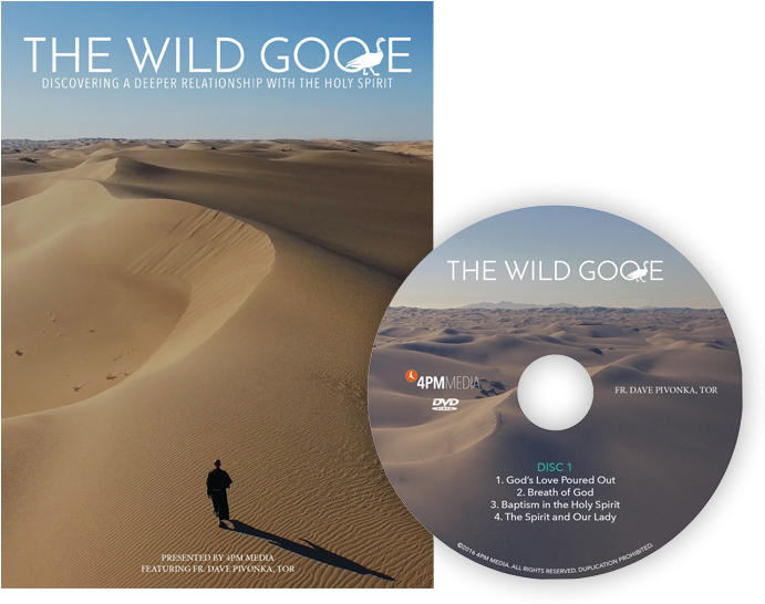 Price - $74 - 95 - 75 Credits - Erg (690x690), Png Download