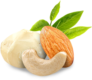 Cashew (942x992), Png Download