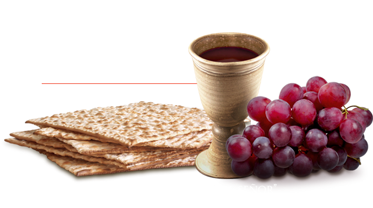 Reflexión Bíblica - Grape (738x447), Png Download