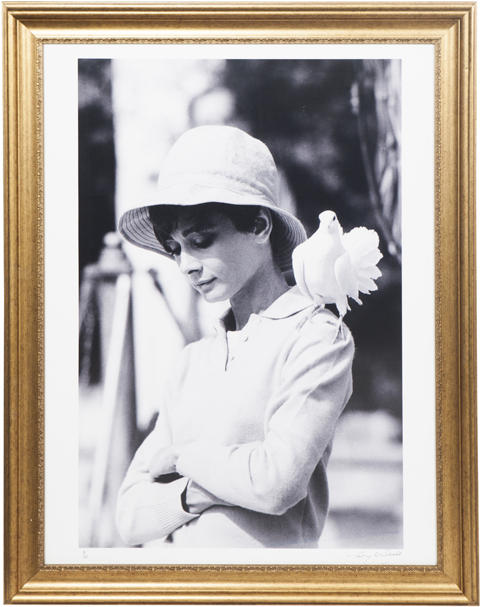 Viyet - Designer Furniture - Accessories - Terry O'neill - Terry O Neill Audrey Hepburn (1200x1200), Png Download