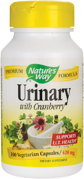Napster And The Piracy Crisis In America - Nature's Way Blood Sugar 90 Capsules (650x650), Png Download