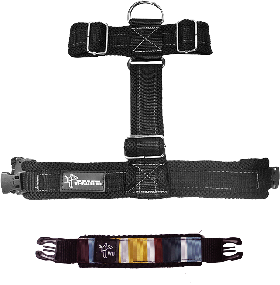 Wd Walking Dog - Dog (1200x1200), Png Download