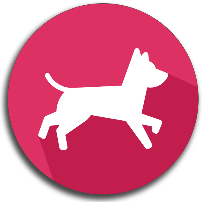 Feeding, Walking, Transporting, And Taking Care Of - Canaan Dog (700x700), Png Download