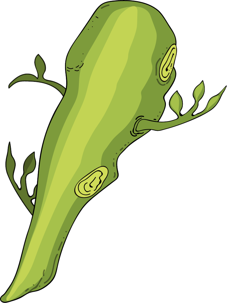 Gcse Spanish Club In Cardiff (754x1003), Png Download