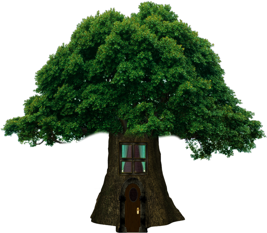 Go To Image - Tree Simulation (1024x913), Png Download