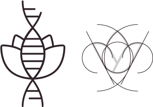 Two Elements Have Been Considered As Pillars Of The - Line Art (700x525), Png Download