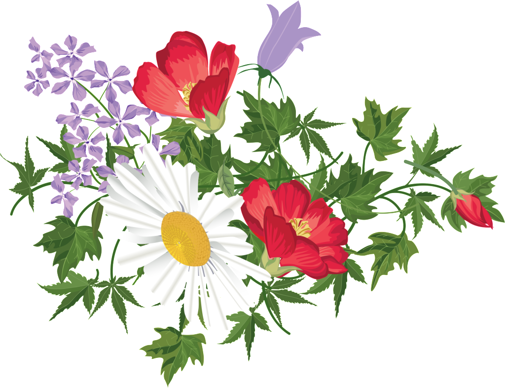 Delicate And Beautiful Big Red Hand Painted Chrysanthemum - Flower (1024x786), Png Download