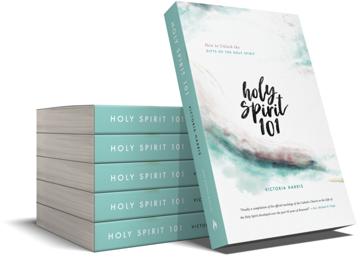 Bulkorder - Espíritu Santo 101 (1000x667), Png Download