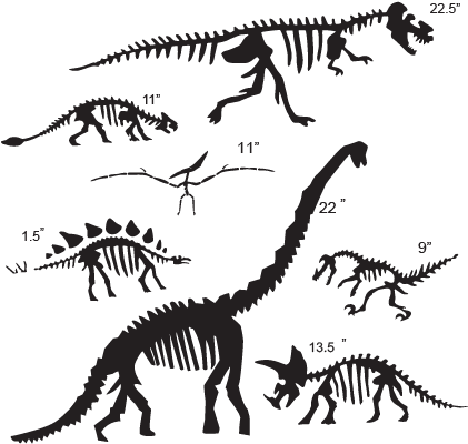 Bone Drawing Triceratops - Dinosaur Fossil Black And White (450x451), Png Download