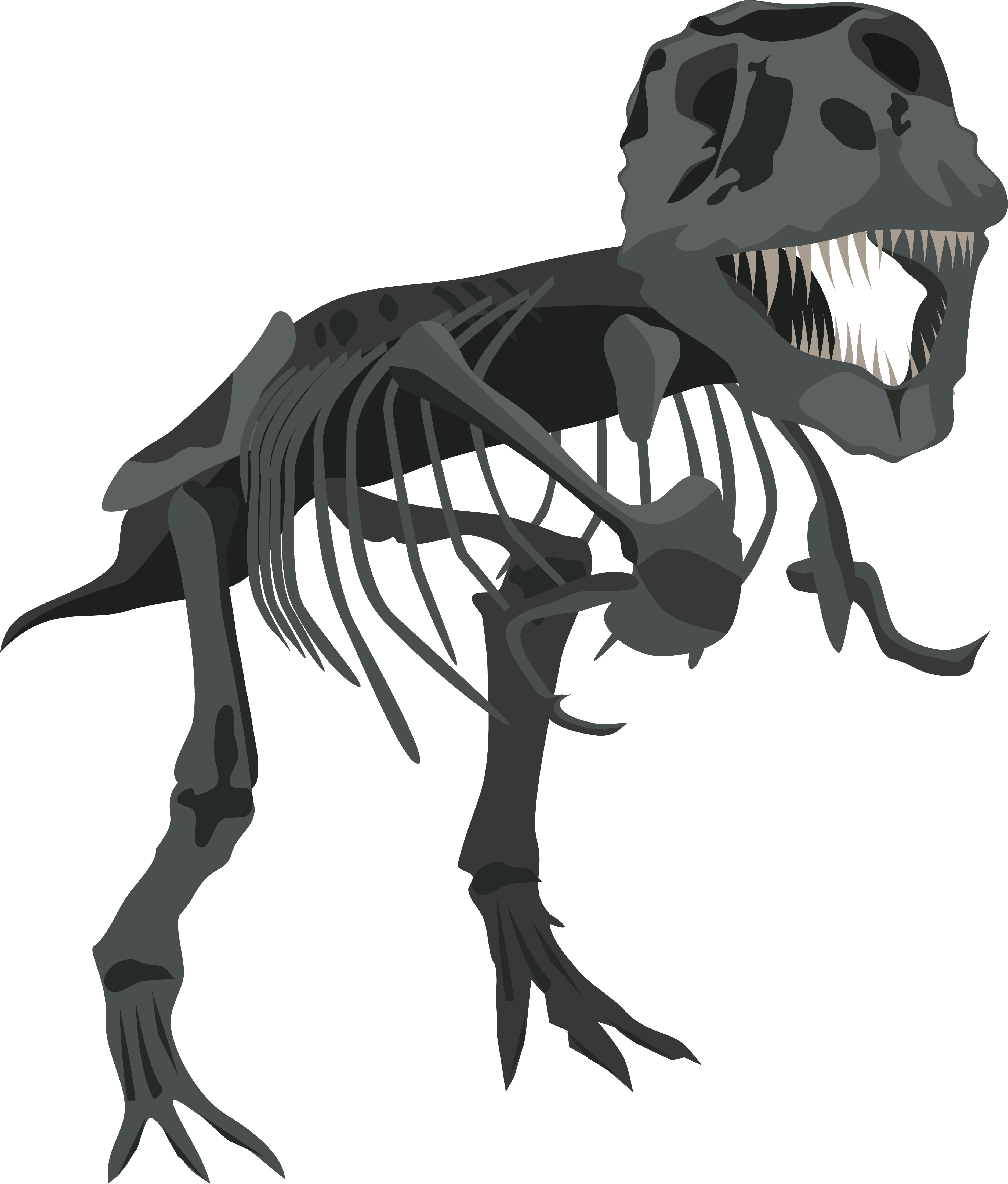 Dino - T-rex Skeleton Wide Rule Composition Notebook (3754x4408), Png Download