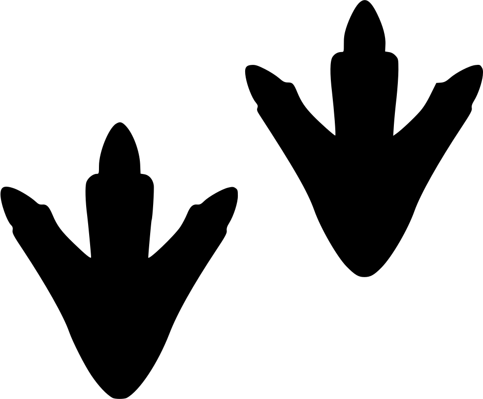 Saur Footsteps - - Duck Footprint (981x812), Png Download