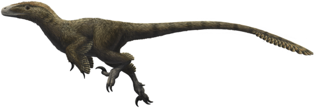 Discovered In 1975 By Jim Jensen At The Dalton Wells - Utahraptor Ostrommaysorum (640x228), Png Download